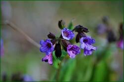 0_141c6b_d7879cd7_orig.jpg