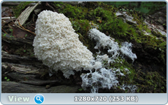 0_109813_5dfd2b47_orig.png