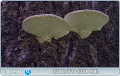 0_10aa90_dc61bc_orig.png