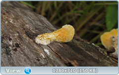 0_112204_a15b8fe8_orig.png