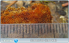 0_11505e_f512f144_orig.png