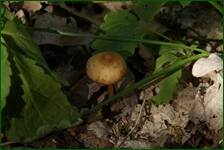 0_f61f7_674a303b_orig.jpg