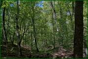 0_ed600_c2dd05b5_orig.jpg