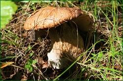 0_1267ed_53992713_orig.jpg