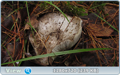0_10b510_88b80e82_orig.png