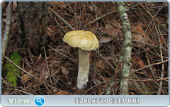 0_10c6da_c56951f4_orig.png