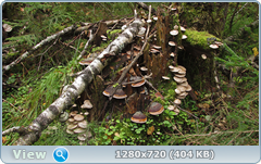 0_11228d_b39571c0_orig.png