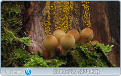0_1122b0_d965d55b_orig.png