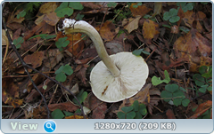 0_1133a6_f652441f_orig.png