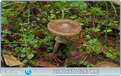 0_10dd66_c6809dea_orig.png