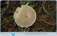 0_10aa6e_bc42f843_orig.png