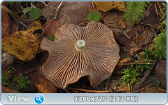0_113055_76b5a423_orig.png