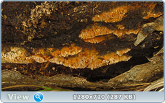 0_10207e_1c11aea8_orig.png