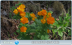 0_106c00_f5d5f9b4_orig.png