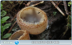 0_10ad6e_996f5f92_orig.png