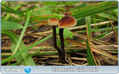 0_10c740_bbf0b482_orig.png