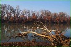 0_c5d65_a86fa2f0_orig.jpg