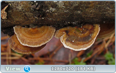 0_f6e4a_670eb3ac_orig.png