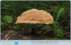 0_e6cf5_d70f5022_orig.png