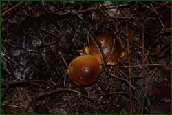 0_f220b_d2afca33_orig.jpg