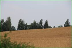0_129346_7d578566_orig.jpg