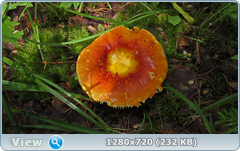 0_10d025_d7951f_orig.png