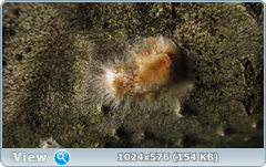 0_11d41e_3174a3e5_orig.png