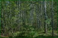0_eb382_7ad2d74a_orig.jpg