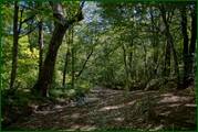 0_ed5f0_109a1cd5_orig.jpg