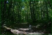 0_ed602_81d9c69a_orig.jpg