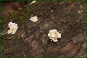 0_ed606_b55813e3_orig.jpg