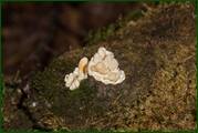 0_ed608_9d09a4e5_orig.jpg