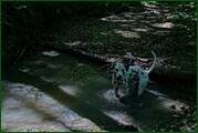 0_ed610_e30091c3_orig.jpg