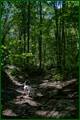 0_ed612_899260e2_orig.jpg