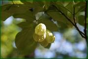 0_ed620_184f8ef8_orig.jpg