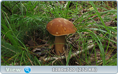 0_10c6d4_97de2ab9_orig.png