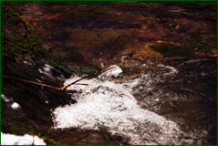 0_104d84_9880e417_orig.png