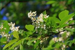 0_1208ef_4fcf9831_orig.jpg