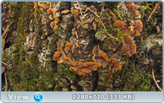 0_101fe6_85db0e17_orig.png