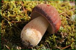 0_12d381_34bf0cc7_orig.jpg