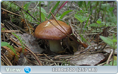 0_107e4d_4d0c1e97_orig.png