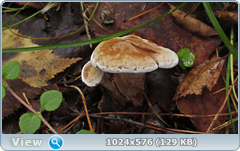 0_11b7b0_bb7462e4_orig.png