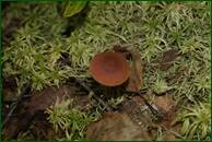 0_eb395_59e92e95_orig.jpg