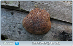 0_10932f_753fae07_orig.png