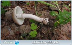 0_10a6dd_e98a957c_orig.png