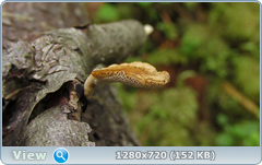 0_10b2ee_95cdd41_orig.png