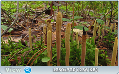 0_10b5bc_519c3e7b_orig.png
