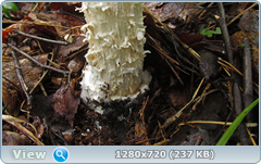 0_110286_551c9620_orig.png