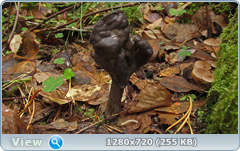 0_112304_dbb116a6_orig.png