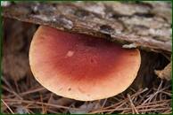 0_ef641_a1f945e3_orig.jpg